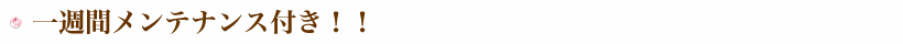 一週間メンテナンス付き