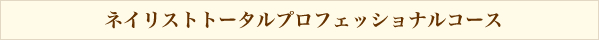 ネイリストトータルプロフェッショナルコース