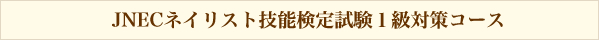 JNECネイリスト技能検定試験１級対策コース