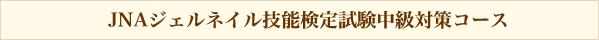 JNAジェルネイル技能検定試験中級対策コース