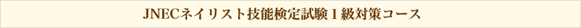 JNECネイリスト技能検定試験１級対策コース