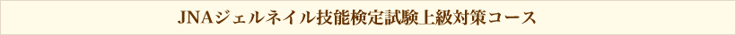 JNAジェルネイル技能検定試験上級対策コース